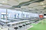 Acoustic Ceiling Panels / Baffles - Image 13