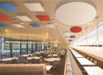 Acoustic Ceiling Panels / Baffles - Image 12